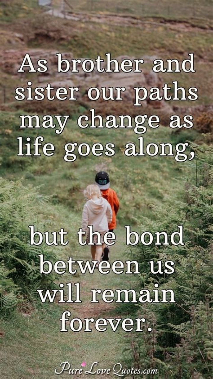 Unraveling The Bonds Of Brothers And Sisters